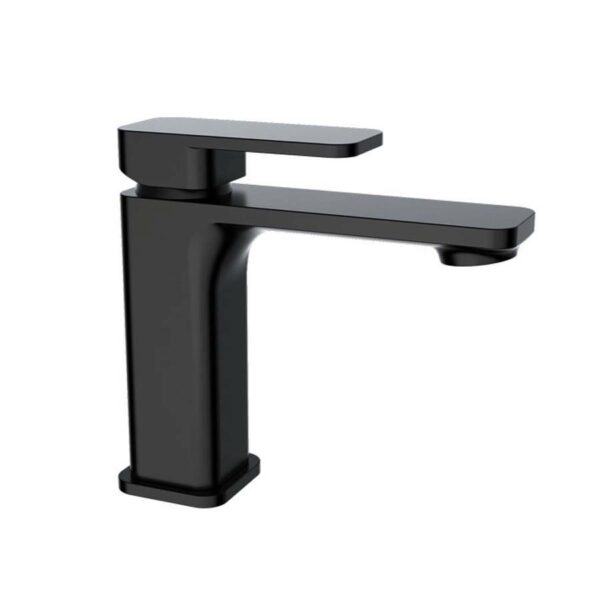 Fiona – Black Basin Mixer