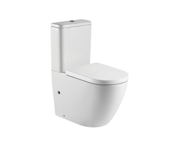 Paris – Rimless & Whirlpool Hygienic Glaze toilet