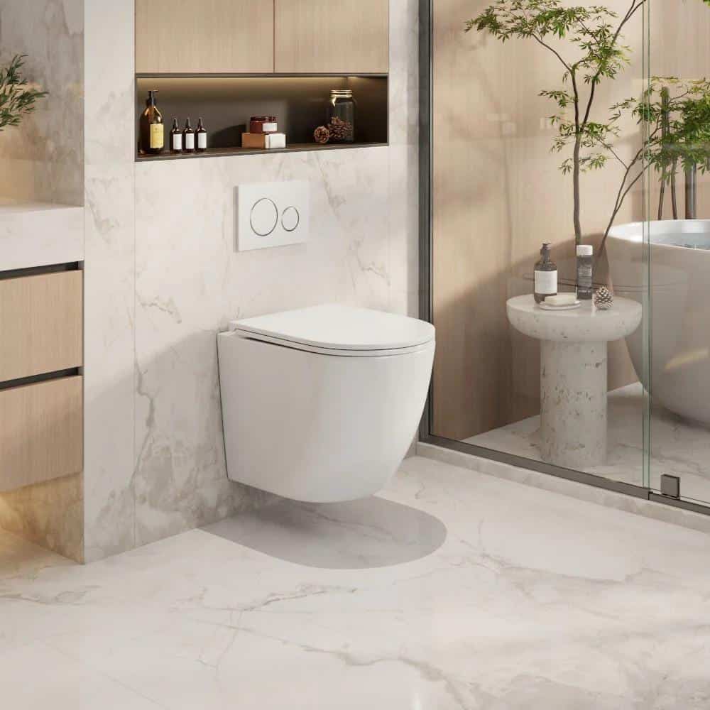 Paris – Rimless & Whirlpool Hygienic Glaze Wall Hung Pan